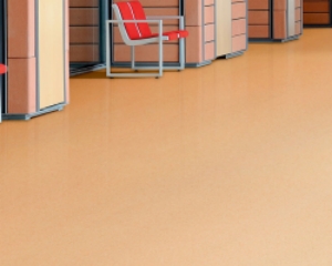 Revolutionizing Commercial Spaces: The Unparalleled Advantages of Homogeneous Flooring